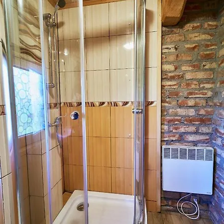 Kolodziejowka Zdroj ロッジ